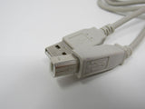 Standard USB A Plug to USB B Plug Cable 5.5 ft Male -- Used