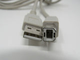 Standard USB A Plug to USB B Plug Cable 5.5 ft Male -- Used