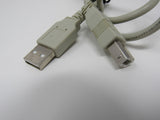 Standard USB A 2.0 Plug to USB B 2.0 Plug Adapter Cable 5 ft Male -- New