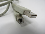 Standard USB A 2.0 Plug to USB B 2.0 Plug Adapter Cable 5 ft Male -- New